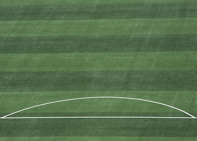 数据上毫不 数据上毫不