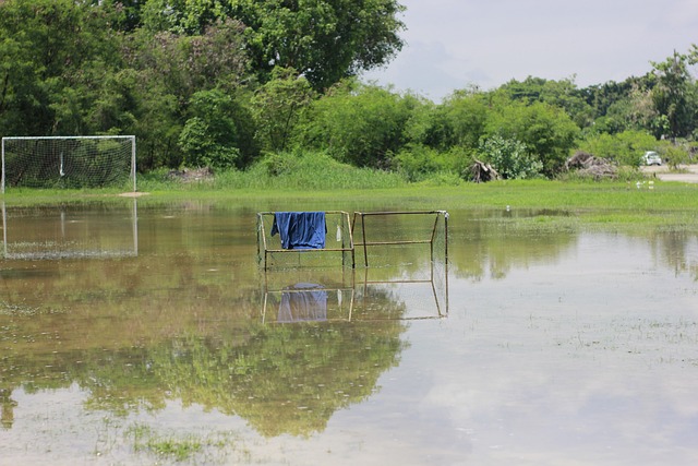 上一次两队 上一次两队