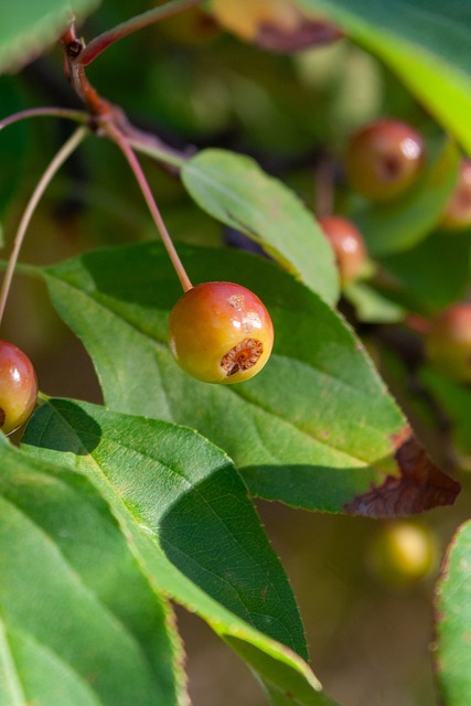 从而对消费 从而对消费