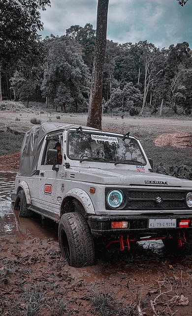 位备受期待 位备受期待