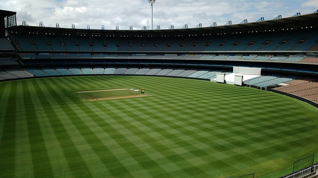 作为新援 作为新援