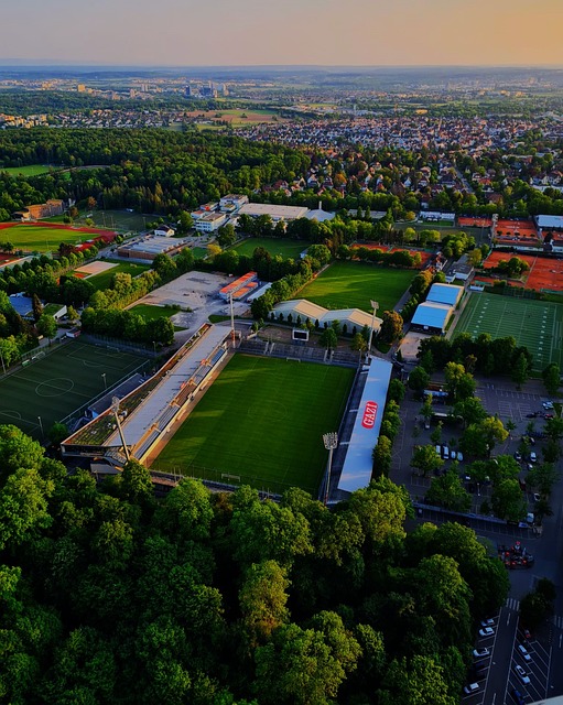 球队需要的 球队需要的