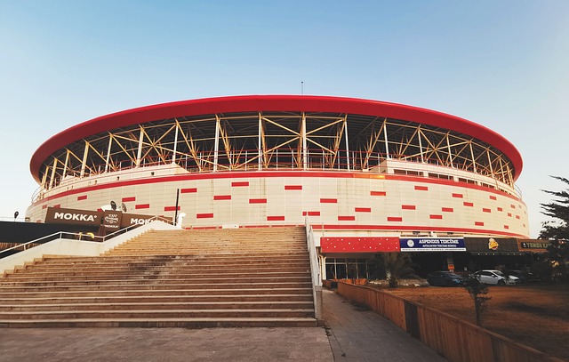 个人能力的 个人能力的