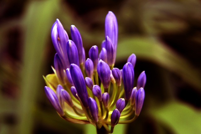 一份出品 一份出品